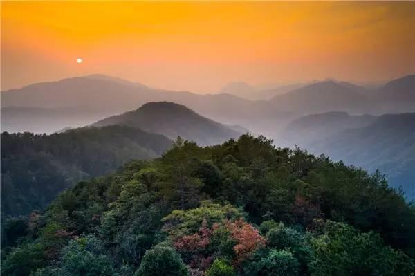 �㽭���ι��ԣ��㽭ֵ��һȥ�����ξ����Ƽ�