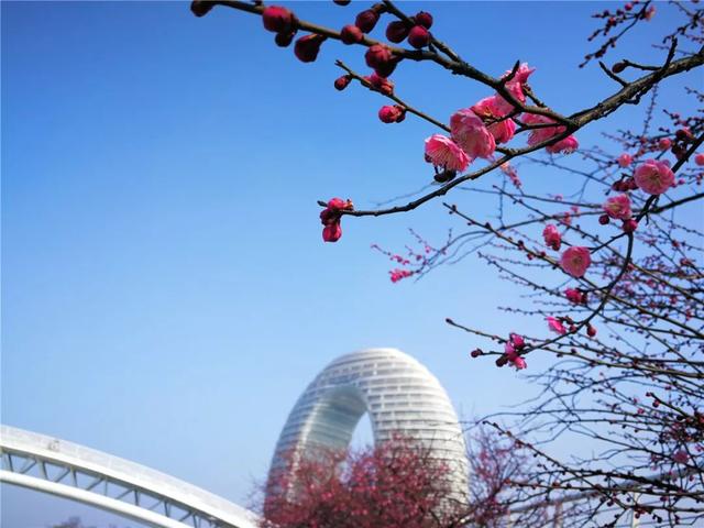 �㽭���ι��ԣ��㽭ֵ��һȥ�����ξ����Ƽ�