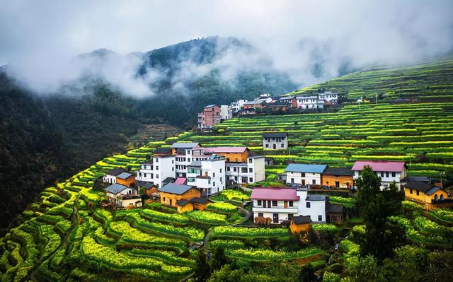 �㽭���ι��ԣ��㽭ֵ��һȥ�����ξ����Ƽ�