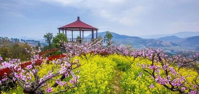 �㽭���ι��ԣ��㽭ֵ��һȥ�����ξ����Ƽ�