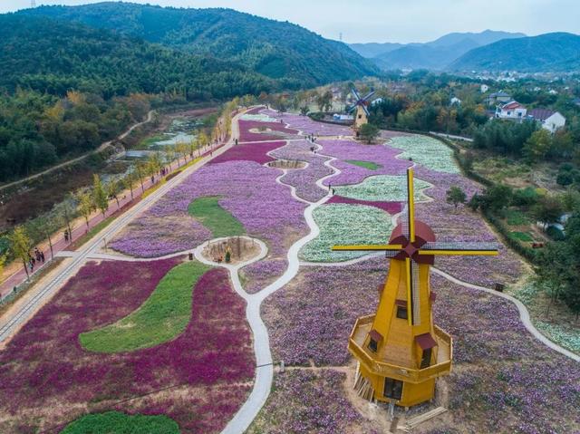 �㽭���ι��ԣ��㽭ֵ��һȥ�����ξ����Ƽ�