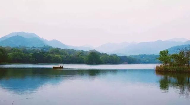 �㽭���ι��ԣ��㽭ֵ��һȥ�����ξ����Ƽ�