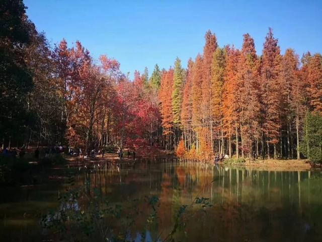 �㽭���ι��ԣ��㽭ֵ��һȥ�����ξ����Ƽ�