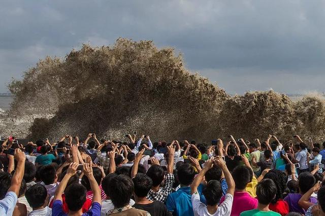 �㽭���ι��ԣ��㽭ֵ��һȥ�����ξ����Ƽ�