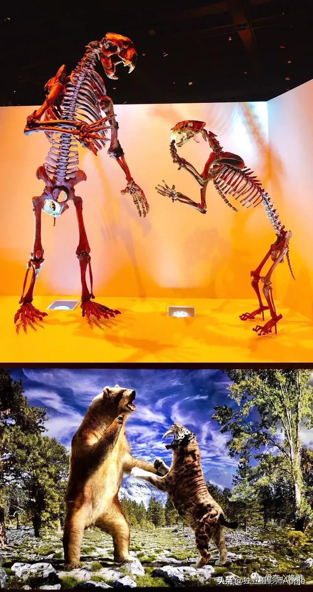 ˹ٿָ
