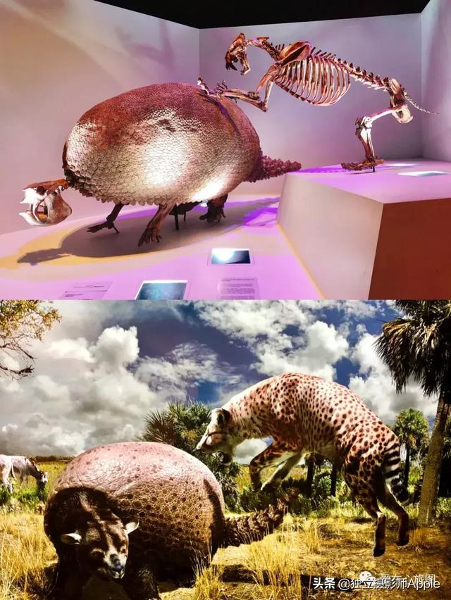 ˹ٿָ