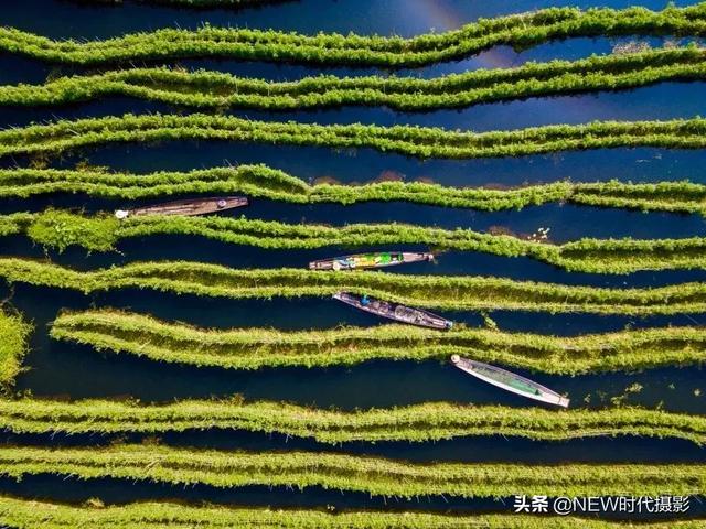 100ĵ缶ͼ