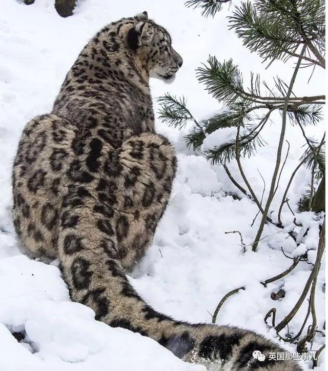 ȫˬƬ... ǿ֢о