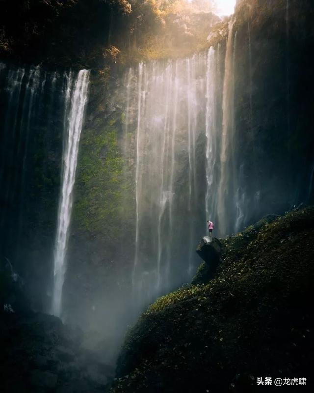 50��2019���������Ƭ�������������ͼ��