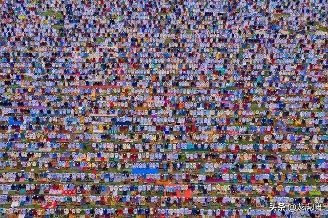 50��2019���������Ƭ�������������ͼ��