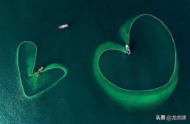 50��2019���������Ƭ�������������ͼ��