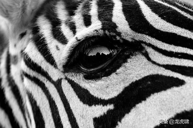 50��2019���������Ƭ�������������ͼ��