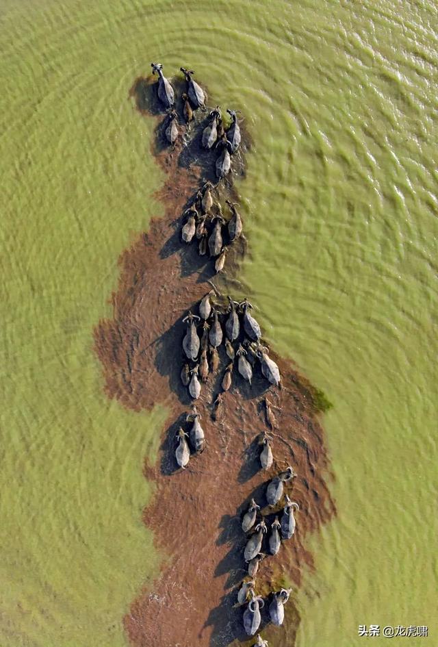 50��2019���������Ƭ�������������ͼ��