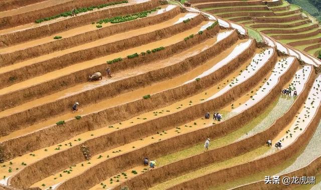 50��2019���������Ƭ�������������ͼ��