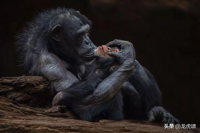 50��2019���������Ƭ�������������ͼ��