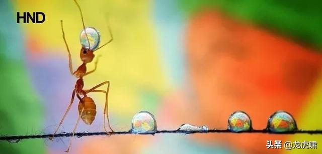 50��2019���������Ƭ�������������ͼ��