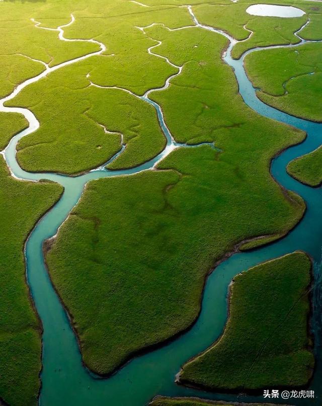 50��2019���������Ƭ�������������ͼ��