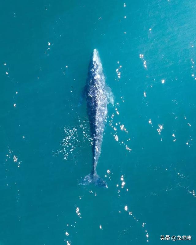 50��2019���������Ƭ�������������ͼ��