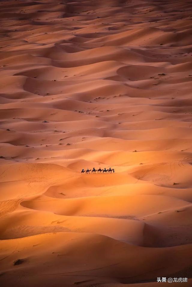 50��2019���������Ƭ�������������ͼ��