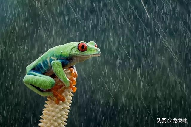 50��2019���������Ƭ�������������ͼ��