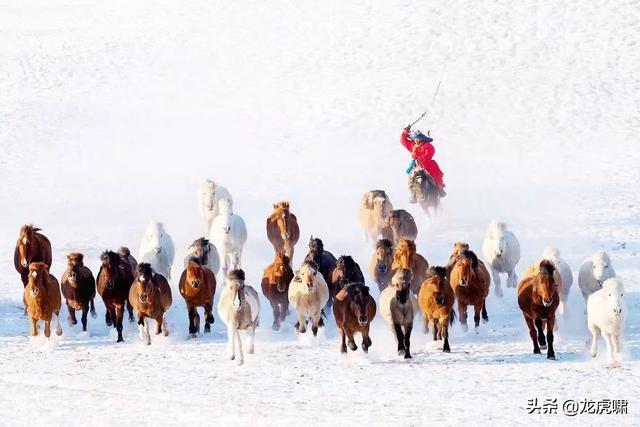 50��2019���������Ƭ�������������ͼ��