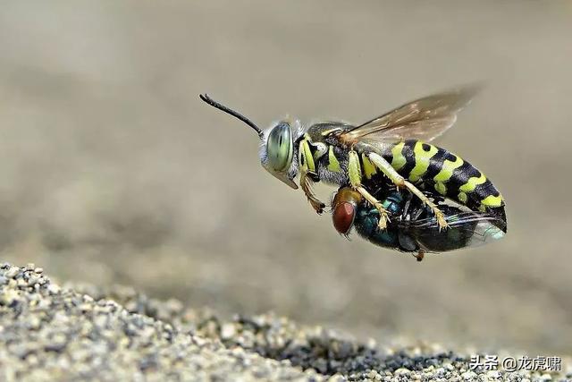 50��2019���������Ƭ�������������ͼ��