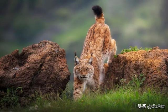 50��2019���������Ƭ�������������ͼ��