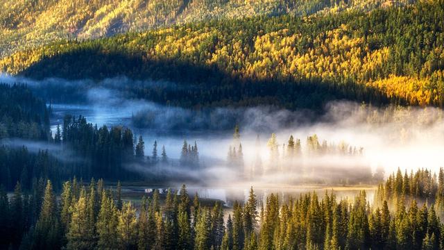 ��100����Ƭ�����������е�ȫ������