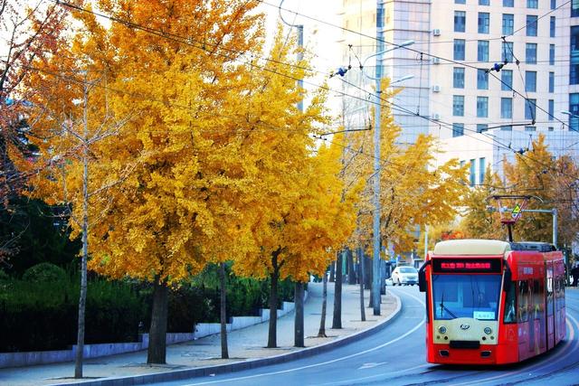 ��100����Ƭ�����������е�ȫ������