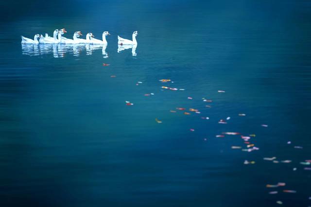 ��100����Ƭ�����������е�ȫ������