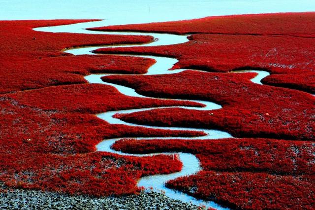 ��100����Ƭ�����������е�ȫ������