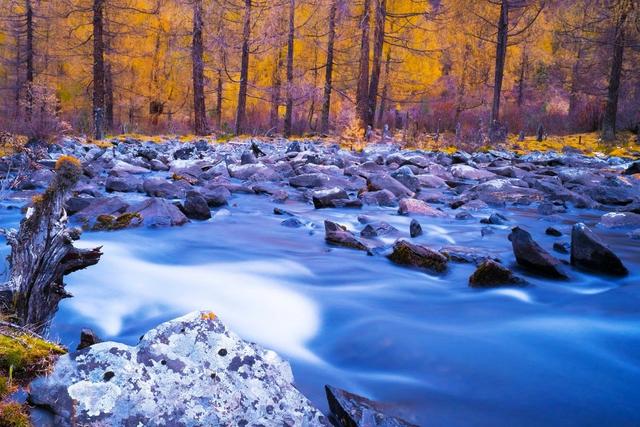 ��100����Ƭ�����������е�ȫ������