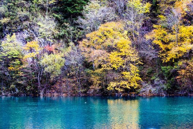 ��100����Ƭ�����������е�ȫ������