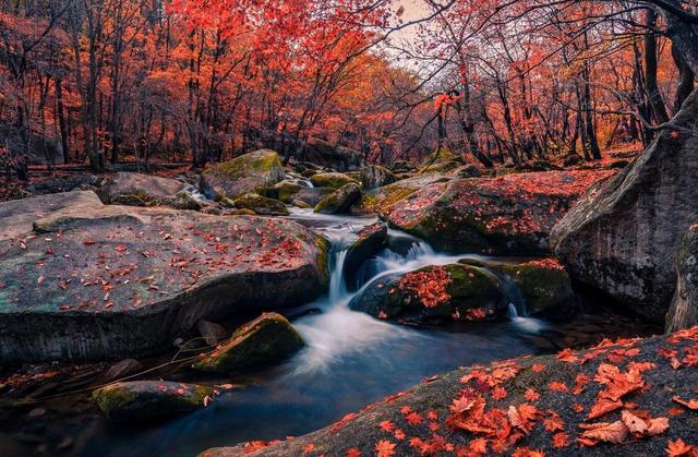 ��100����Ƭ�����������е�ȫ������