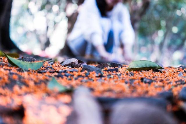 ��100����Ƭ�����������е�ȫ������