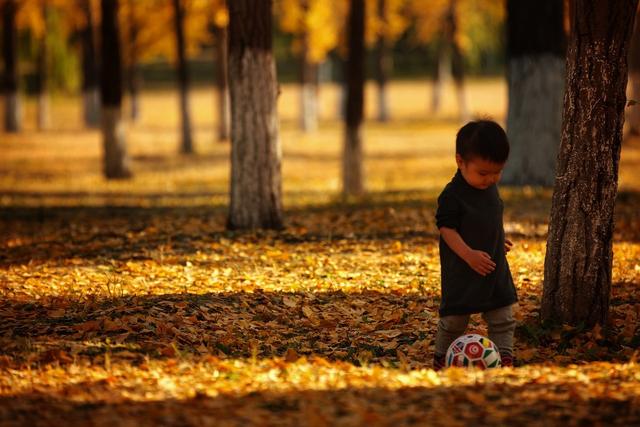 ��100����Ƭ�����������е�ȫ������