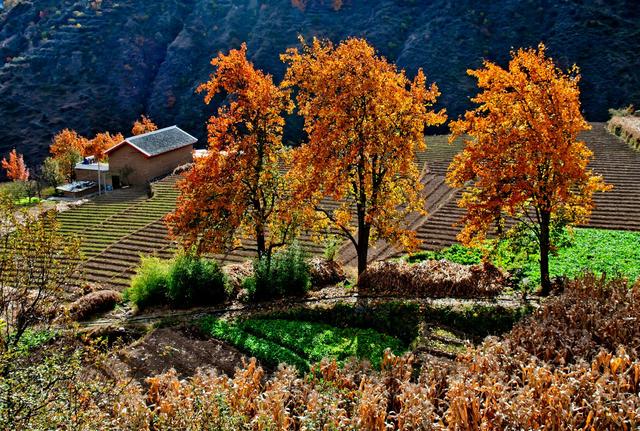 ��100����Ƭ�����������е�ȫ������