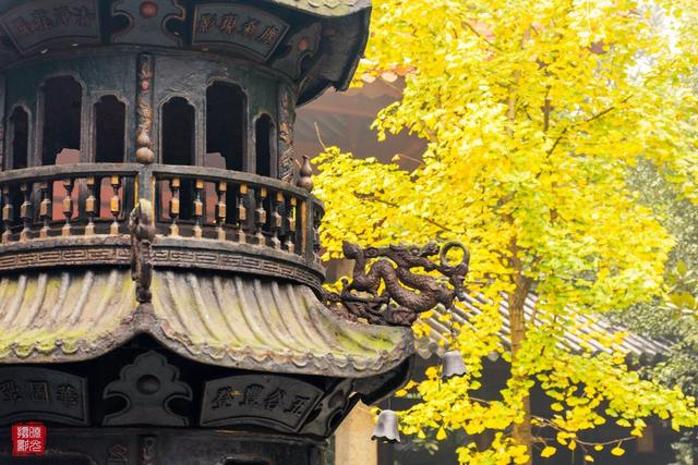 ��100����Ƭ�����������е�ȫ������