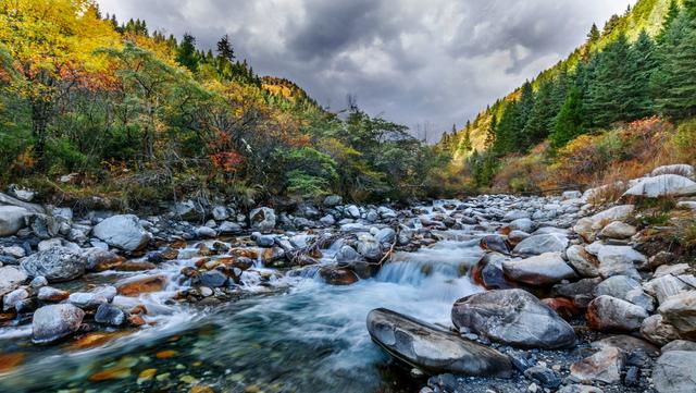 ��100����Ƭ�����������е�ȫ������