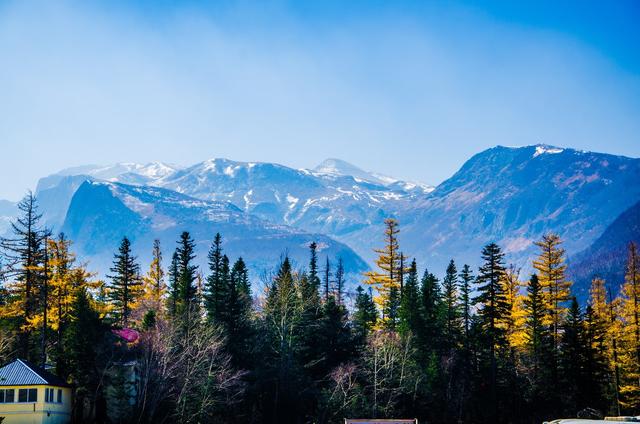 ��100����Ƭ�����������е�ȫ������