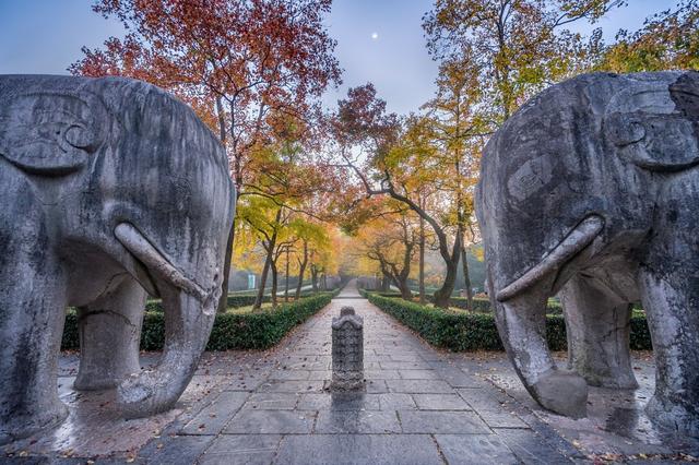 ��100����Ƭ�����������е�ȫ������