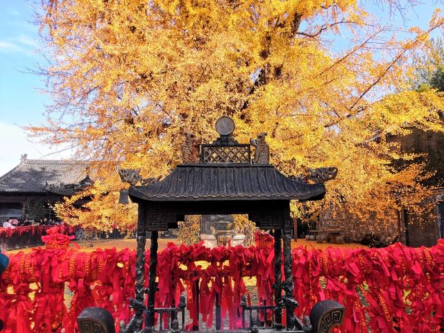 ��100����Ƭ�����������е�ȫ������