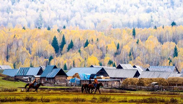 ��100����Ƭ�����������е�ȫ������