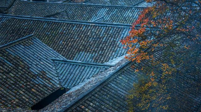 ��100����Ƭ�����������е�ȫ������