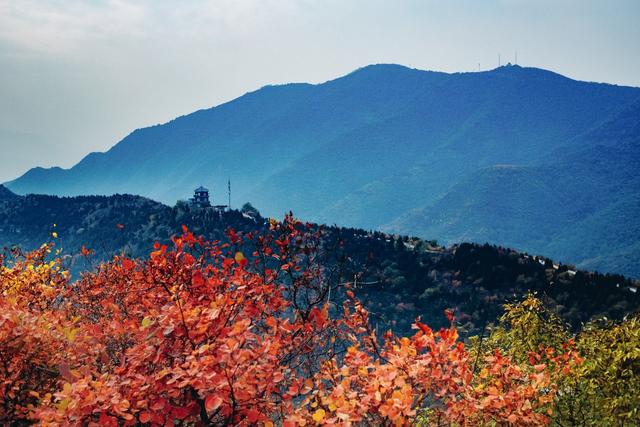 ��100����Ƭ�����������е�ȫ������