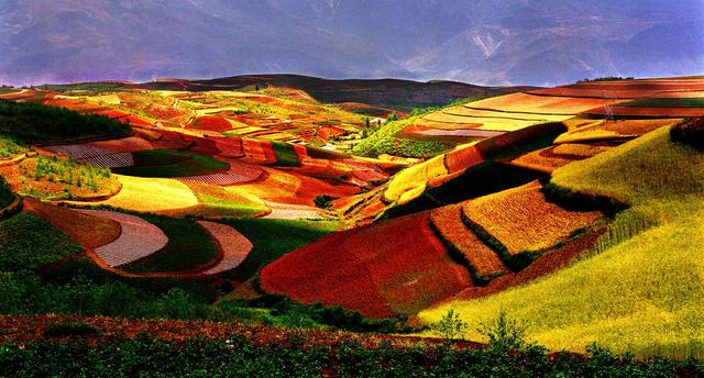 ��100����Ƭ�����������е�ȫ������