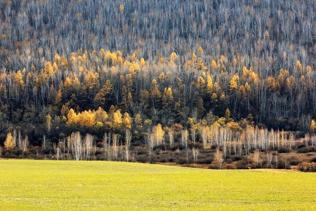 ��100����Ƭ�����������е�ȫ������