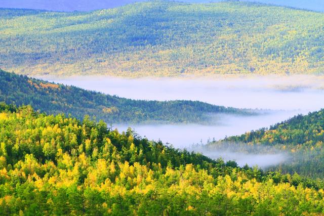 ��100����Ƭ�����������е�ȫ������