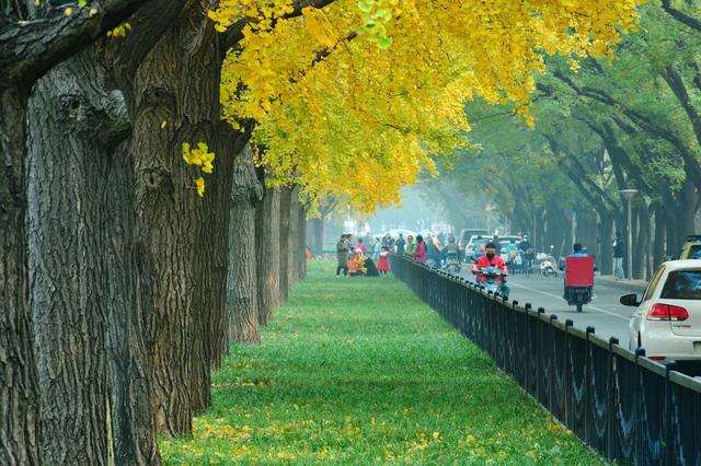 ��100����Ƭ�����������е�ȫ������