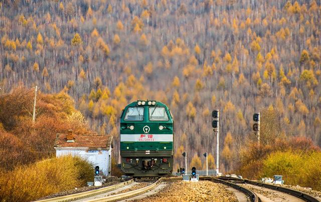 ��100����Ƭ�����������е�ȫ������